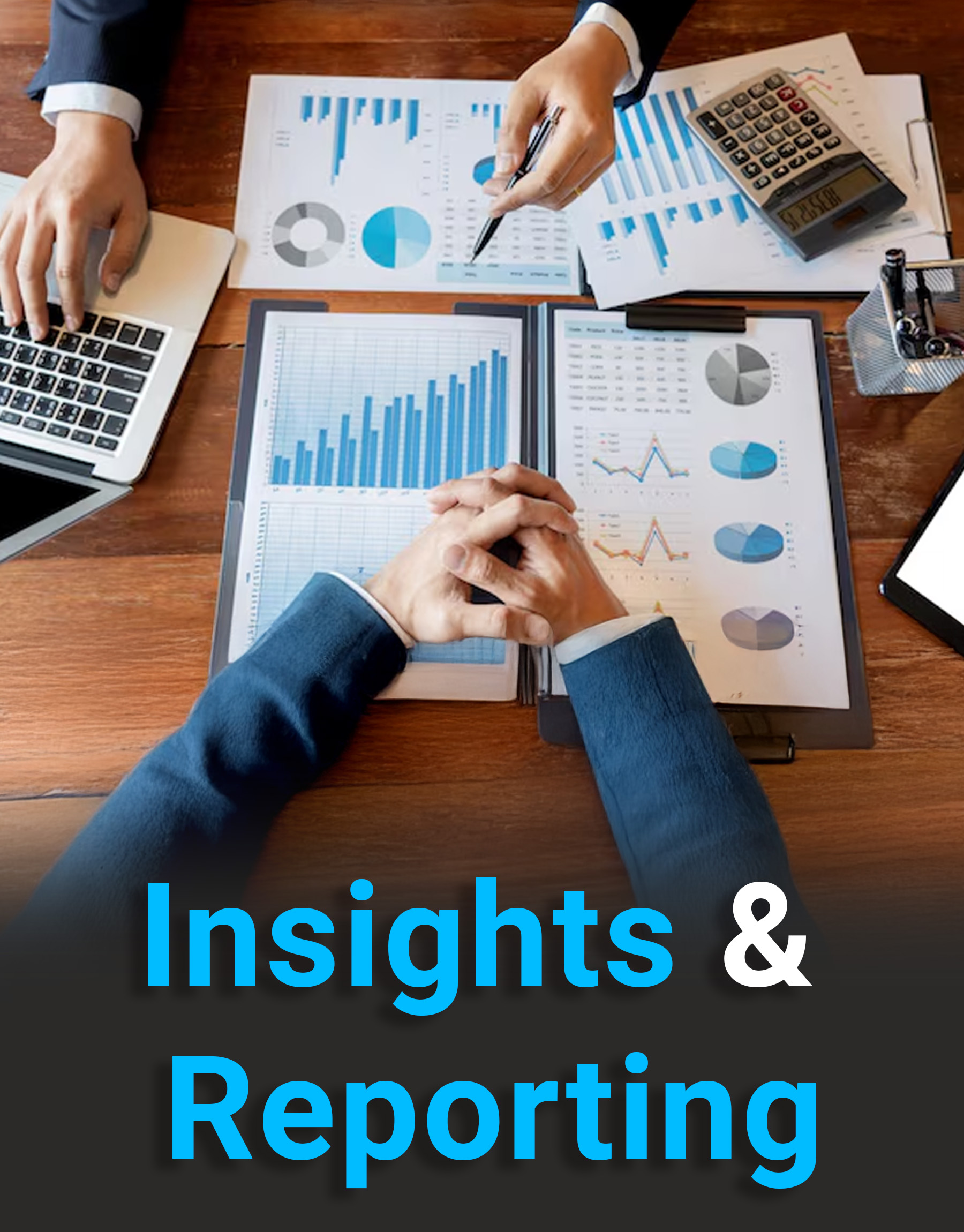 GMB Insights & Reporting